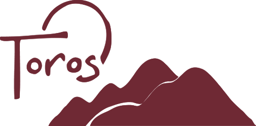 Toros-Logo2-1 (1)